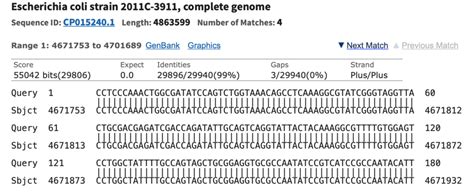 ncbi nucleotide blast